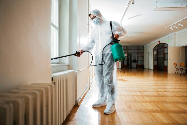 Best Affordable Pest Control Services  in Mcdonald, OH